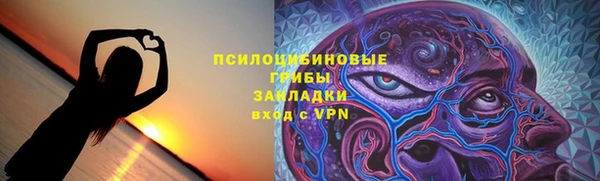 ешки Аркадак