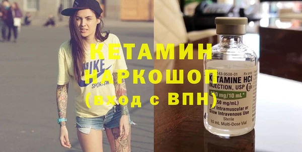 шишки Арсеньев