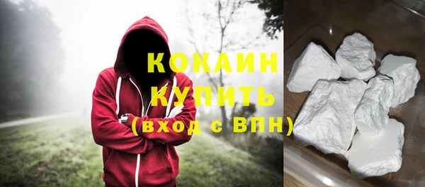 шишки Арсеньев