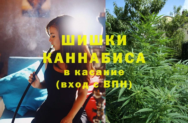 шишки Арсеньев