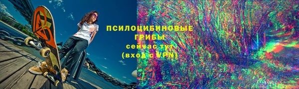 ешки Аркадак
