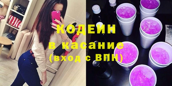 шишки Арсеньев