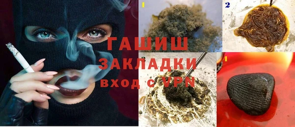 шишки Арсеньев