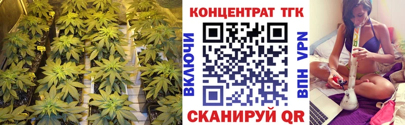 ТГК концентрат Пенза