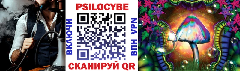 Галлюциногенные грибы мицелий  Купить где  Пенза 